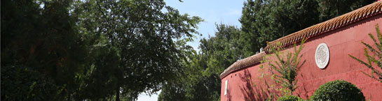 banner.jpg